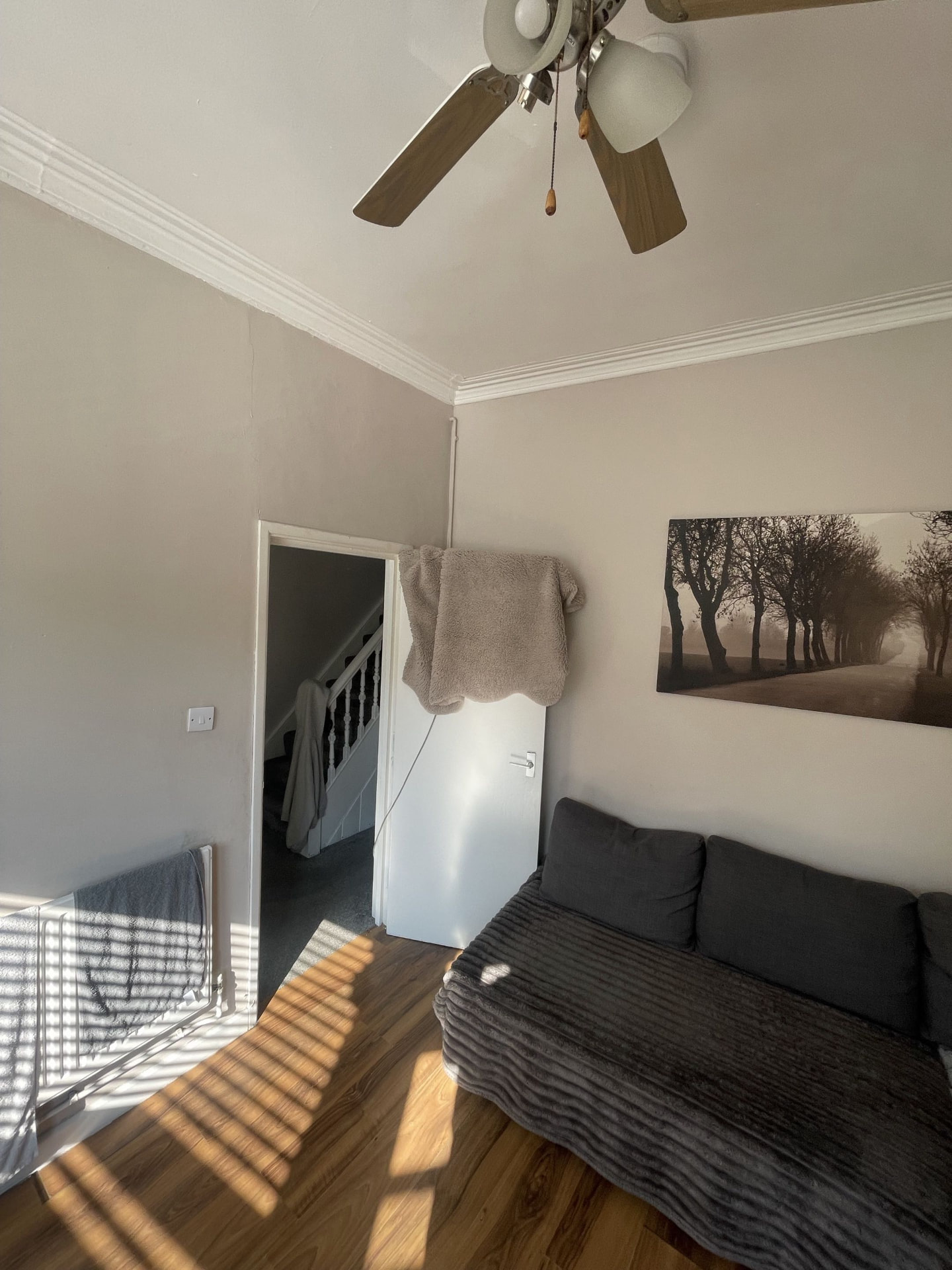 Same job: walls and ceiling repainted throughout before plastering